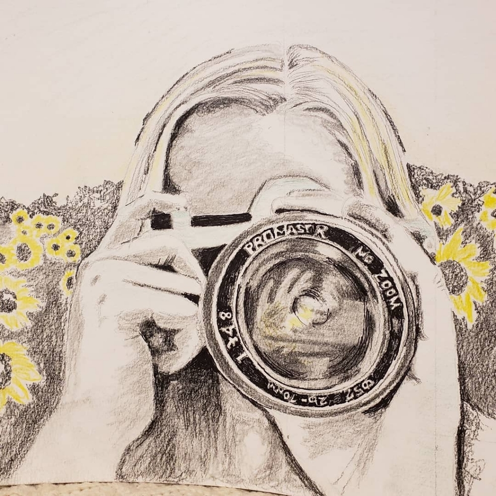 Sunflower Dreams. Charcoal drawing 11x15 paper